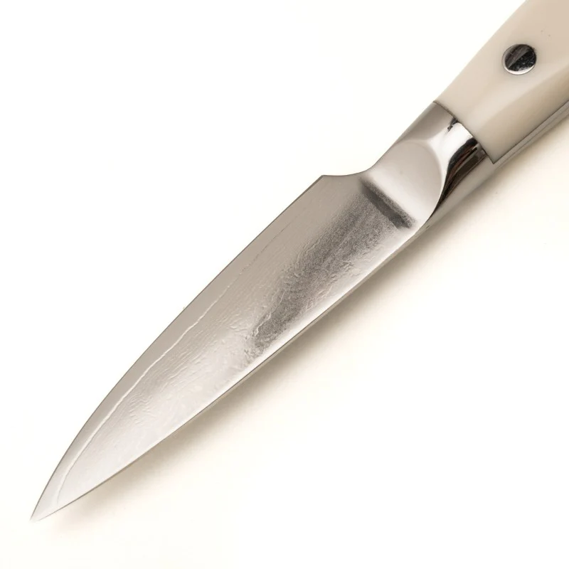 Couteau Office 9cm DAMAS 67 - DEGLON - Image 3