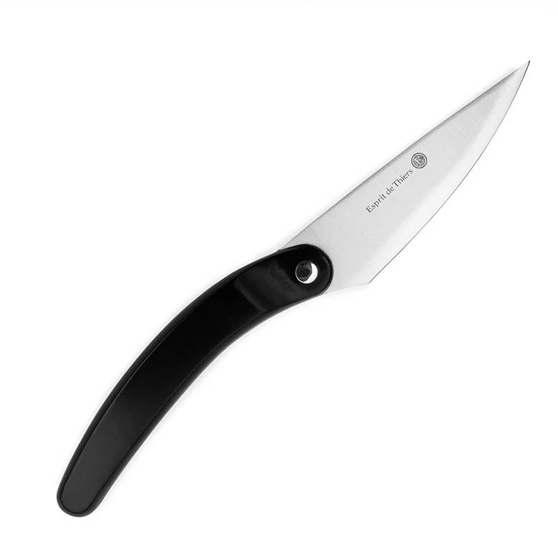Couteau d'office Premium 9 cm Bois Pressé - DEGLON - Image 4
