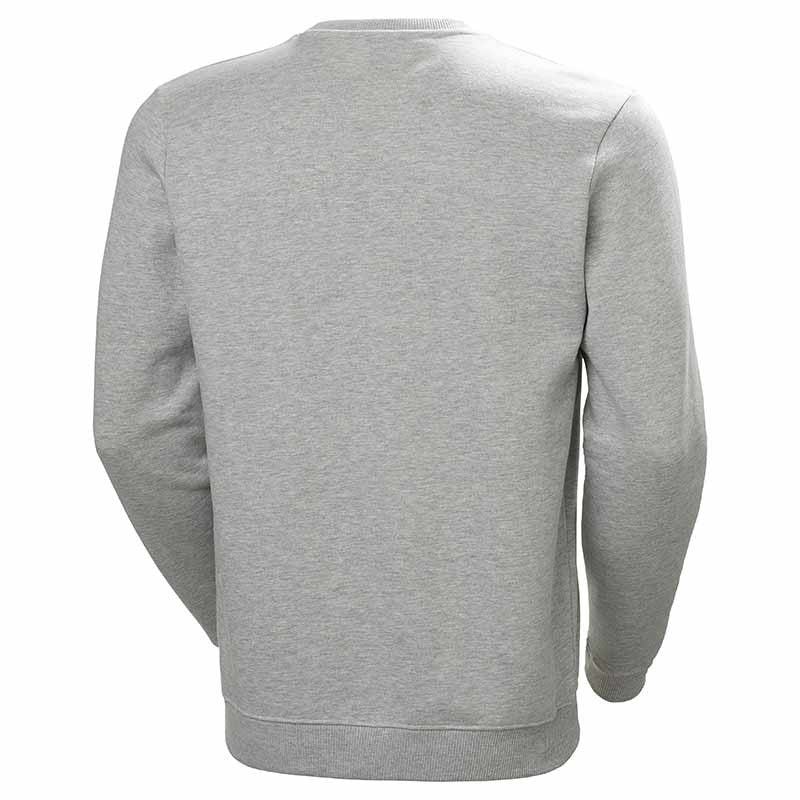 Sweat Shirt à Capuche Homme Graphic Gris Clair - HELLY HANSEN - Image 2