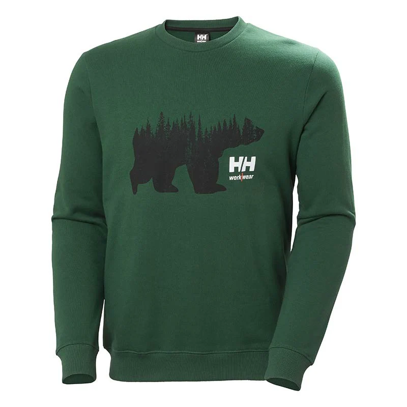 Sweat Shirt à Capuche Homme Graphic Vert - HELLY HANSEN