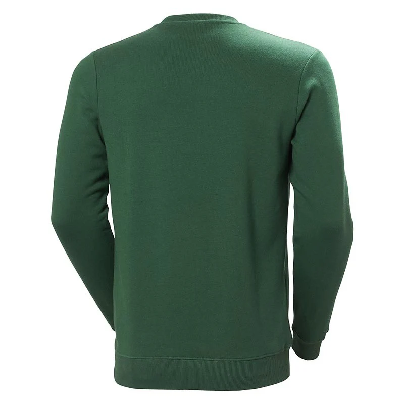 Sweat Shirt à Capuche Homme Graphic Vert - HELLY HANSEN - Image 2