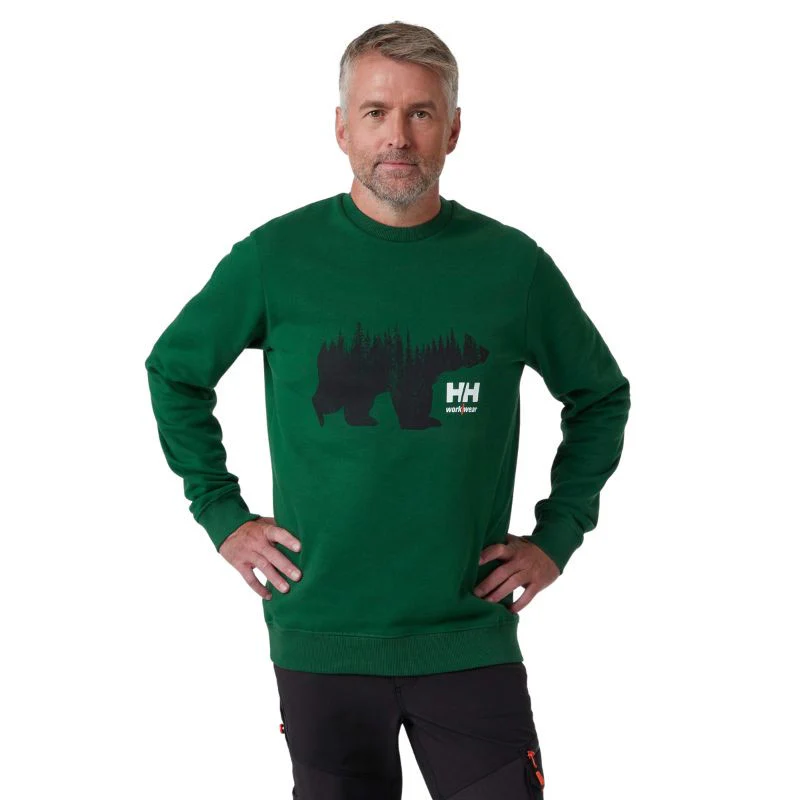 Sweat Shirt à Capuche Homme Graphic Vert - HELLY HANSEN - Image 3