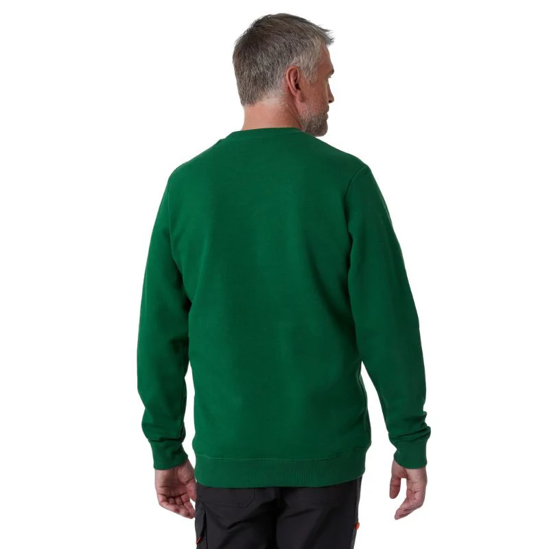 Sweat Shirt à Capuche Homme Graphic Vert - HELLY HANSEN - Image 4