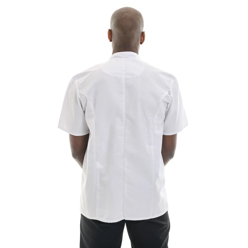 Veste de Cuisine Homme Manches Courtes Apprenti Blanche Inox - ROBUR - Image 4